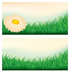 Summer meadow banners, vector illustration