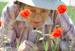 Seniorin bewundert Blumen auf der Wiese - Mohnblume, Kamille