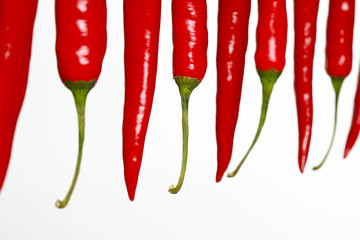 Wall Mural - Red Hot Chilis