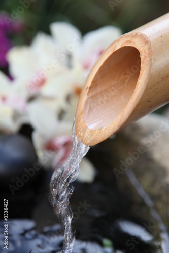 Tapeta ścienna Bambus i orchidea