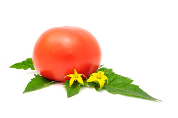 Wall Mural - Red Tomato with Leaves and Flowers Isolated on White Background