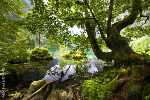 Obrazy las   wiosna-w-gorach
