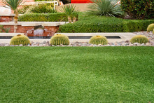Cactuses In Garden Beyond Green Lawn