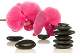 Fototapeta Panele - pebbles with beautiful  orchid over a white background.
