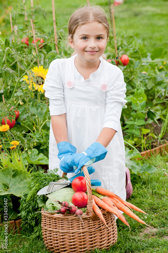 Buy Gardening Basket