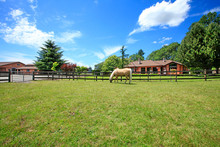 Pasture  On A Horse Ranch With A House And Fence.