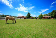 Pasture On A Horse Ranch With A House And Fence.