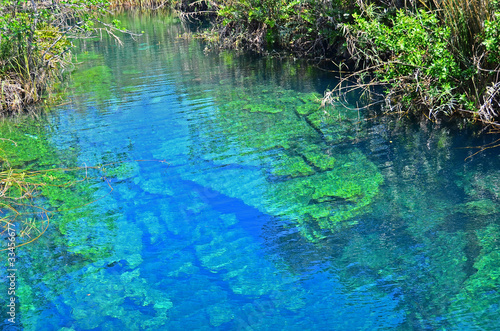 Naklejka samoprzylepna Cenote escondido, tulum, meksyk