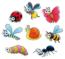 Bugs   1 Snail. Vector Isolated Characters.
