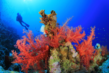 Scuba Diver in clear blue seas over beautiful Coral Reef