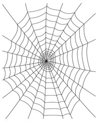 Wall Mural - spider web