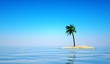 canvas print picture - Einsame Insel mit Palme