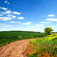 Canvas Print - road