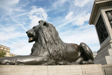 Lion Statue  In Trafalgar Square