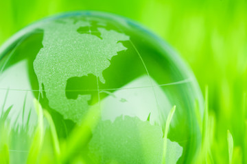 glass earth in grass