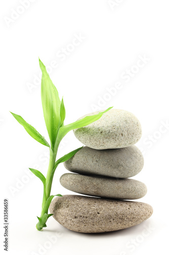 Bamboo leafs and zen stones