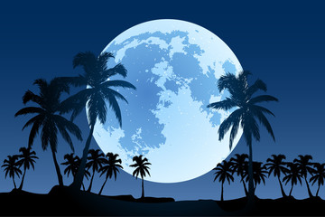 Wall Mural - vector moon