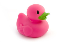 Single Pink Rubber Duck On White