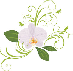 Wall Mural - Orchid with decorative sprigs