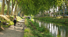 Le Canal Du Midi à Toulouse