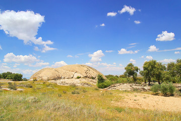 Poster - Dehesa und Felsen - Dehesa and rocks 01