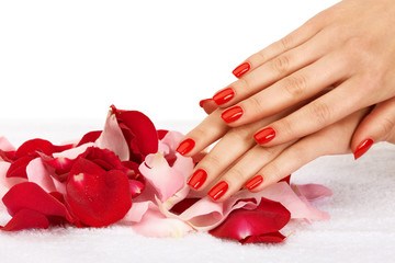 Closeup image of red manicure with leafs of rose