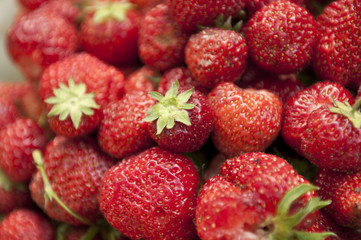 Fresh Strawberries