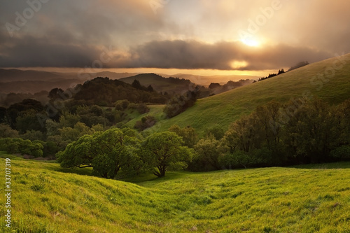 Plakat na papierze fotorealistycznym Typowy pagórkowaty california chaparral łąka o zachodzie słońca w mglisty dzień