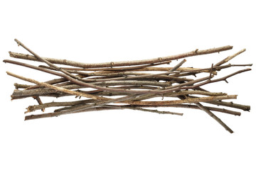 sticks and twigs isolated