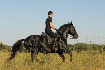 Wall Mural - gallop en pleine nature