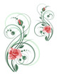 Floral pattern with rose