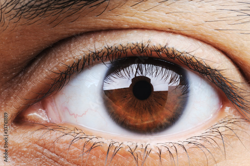 Cuadros en Lienzo Closeup of human eye, macro mode