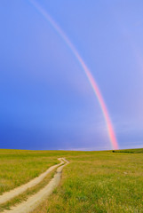 Wall Mural - Rainbow over the field