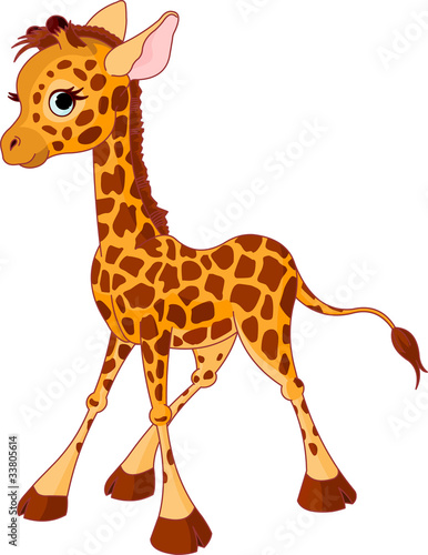 Naklejka na meble Giraffe Calf