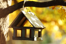 Birdhouse In The Autumn Forest