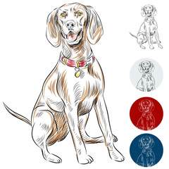 Poster - Redbone Coonhound