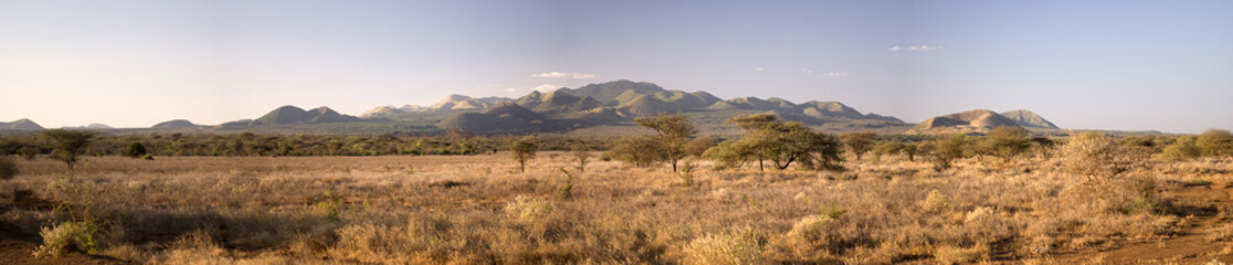 african savannah