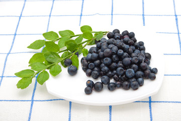 Wall Mural - blueberry on a plate