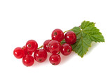 rote Johannisbeeren