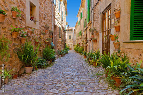 Fototapeta do kuchni Grüne Gasse in Valdemossa