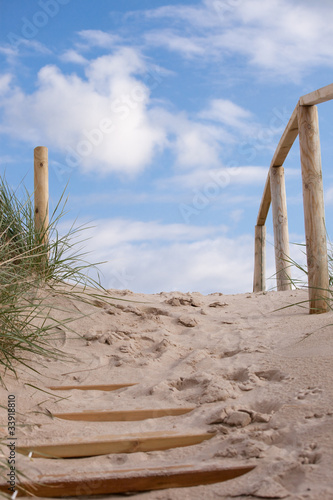 Naklejka na drzwi Weg zwischen den Dünen von Föhr