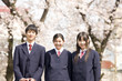 桜の下で笑っている中学生男女