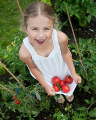 Vegetable garden - little girl with picked healthy tomatoes