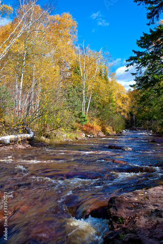 Naklejka samoprzylepna Caribou Creek, jesień