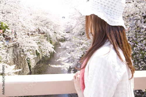 桜を眺める女性の後姿 Stock Photo Adobe Stock