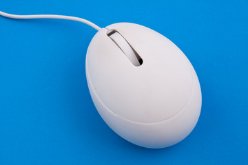 white mouse