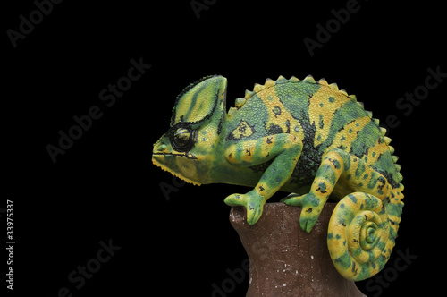 Naklejka samoprzylepna Kameleon statua