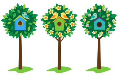 Fototapete - Little birds and birdhouses on trees.