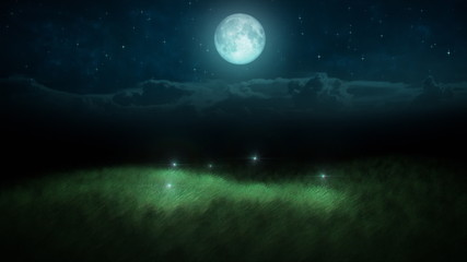 fireflies at night and moon loop