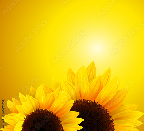 Abstract background with flowers